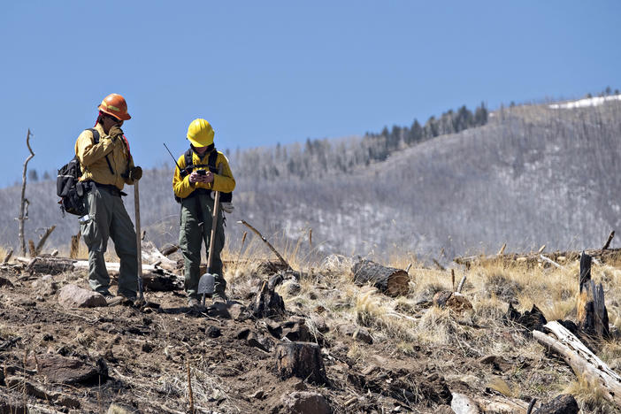 A pair of Resource Advisors from the Coconino National Forest record data in Division Alpha as they work to determine the severity of Tunnel Fires impact on the Forest.