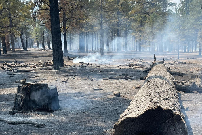 In this photo provided by the National Park Service, fallen trees smolder after a wildfire at Sunset Crater Volcano National Monument in Arizona, Wednesday, April 20, 2022.