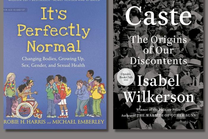 Among the books banned in Llano County, Texas, public libraries were: Robie H. Harris's <em data-stringify-type="italic">It's Perfectly Normal: Changing Bodies, Growing Up, Sex, and Sexual Health</em>; Isabel Wilkerson's <em data-stringify-type="italic">Caste: The Origins of Our Discontents; </em>and Maurice Sendak's <em data-stringify-type="italic">In the Night Kitchen.</em>