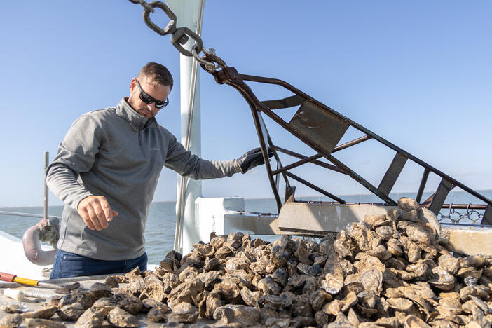 Oyster harvester Johny Jurisich empties a dredge filled with oysters onto his boat near Texas City, Texas.
