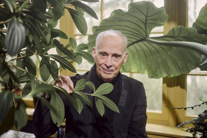 Filmmaker and author John Waters at his home in Baltimore. This year marks the 50th anniversary of his landmark film, <em>Pink Flamingos, </em>and he's releasing his first novel, <em>Liarmouth: A Feel-Bad Romance</em>.