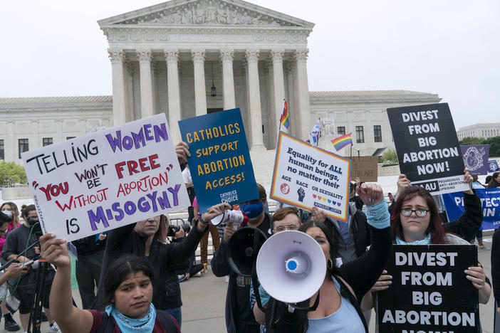 Demonstrators protest outside of the Supreme Court this week.