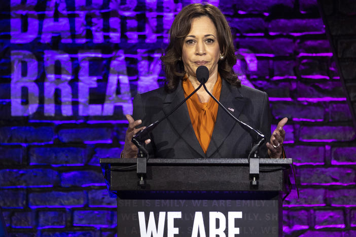 U.S. Vice President Kamala Harris delivers remarks at the Emily's List gala on May 3. Harris spoke a day after a published report revealed that the Supreme Court is poised to overturn the 1973 landmark Roe v. Wade.