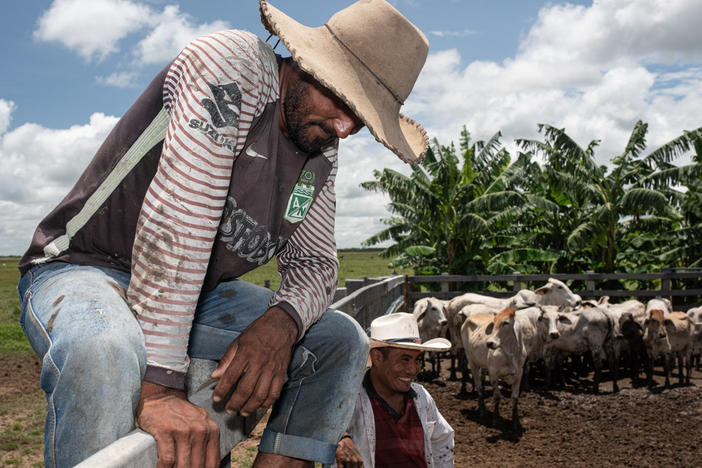 Colombian cowboys are known as <em>llaneros</em>, Spanish for plainsmen.