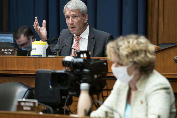 Rep. Kurt Schrader, a Democrat from Oregon, questions witnesses during a hearing on June 23, 2020.