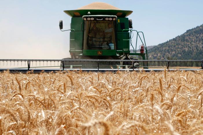A Combine harvesting machine reaps wheat in a field of the Hula valley near the town of Kiryat Shmona in the north of Israel on May 22, 2022. Wheat prices have soared in recent months, driven by the war in Ukraine and a crippling heat wave in India.