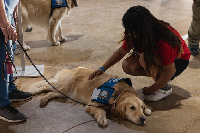 A young girl pets a comfort dog at a vigil on Wednesday in Uvalde, Texas.