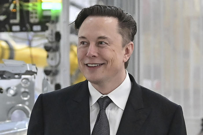 Tesla CEO Elon Musk.