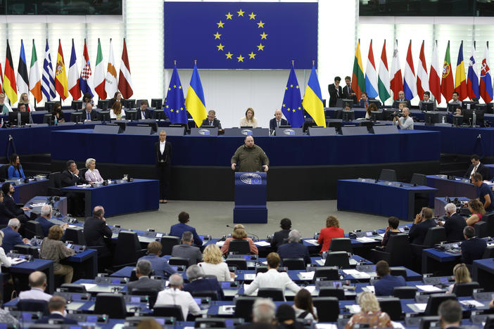 The Ukrainian parliament's Ruslan Stefanchuk delivers a speech at the European Parliament on Wednesday in Strasbourg, France.