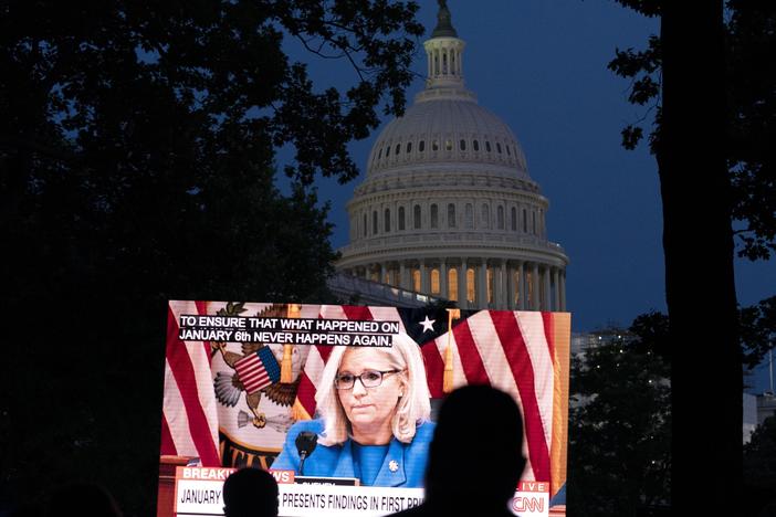 People gather in a park outside of the U.S. Capitol to watch the Jan. 6 House committee investigation in Washington, Thursday, June 9, 2022, as the House committee investigating the Jan. 6 insurrection at the U.S. Capitol holds the first in a series of hearings laying out its findings.