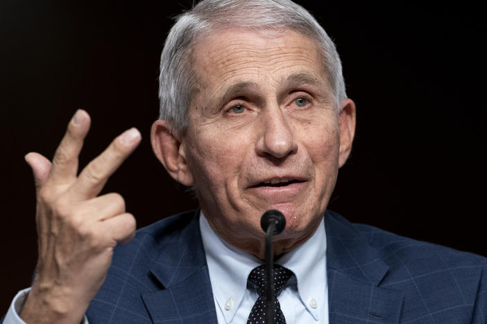 Dr. Anthony Fauci testifies before a Senate Health, Education, Labor, and Pensions Committee hearing on Jan. 11, 2022 on Capitol Hill.