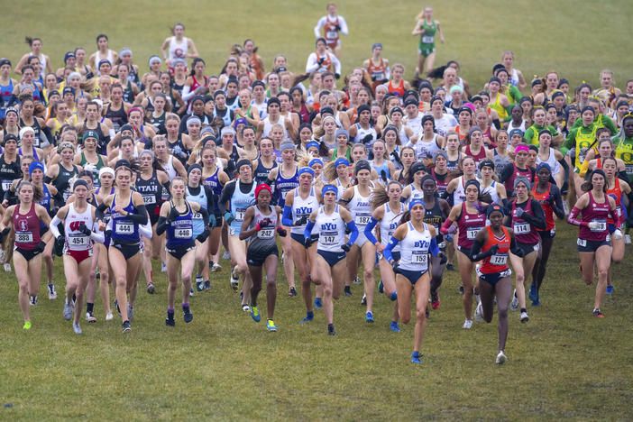 Runners compete in the women's NCAA Division I Cross-Country Championships, Saturday, Nov. 23, 2019, in Terre Haute, Ind.