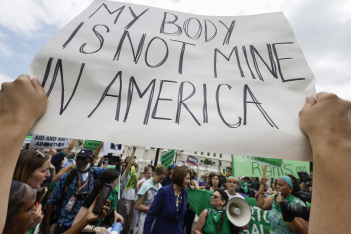 People with disabilities worry about how they will be disproportionately affected by the Supreme Court's reversal of <em>Roe v. Wade</em>.