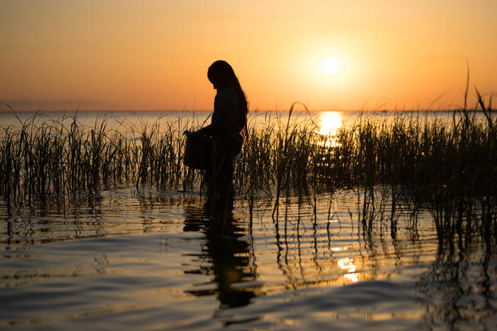 There's a lingering mystery hanging over the author of "Where the Crawdads Sing," now adapted into a film.