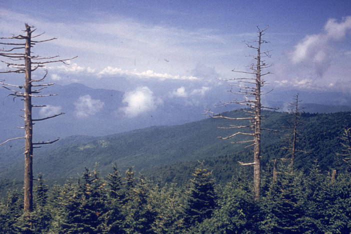 The view from Clingmans Dome in the Great Smoky Mountains National Park. The mountain is the tallest peak in the park and sits on the Tennessee-North Carolina border. It's sacred to the Eastern Band of Cherokee Indians, who hope to see the name of the mountain changed to Kuwahi, which their ancestors called the mountain for hundreds of years.