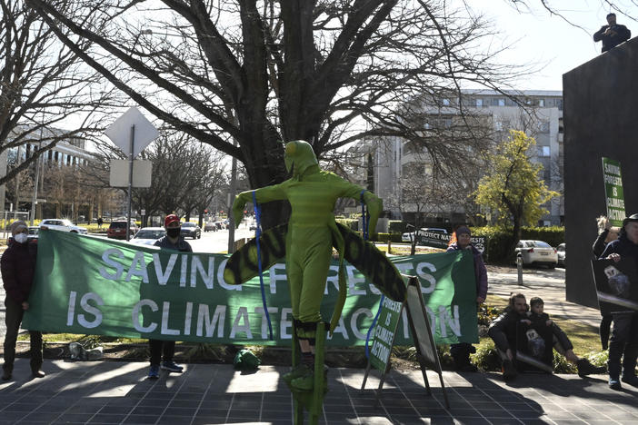 Environmental activists protest outside the National Press Club, where minister for the Environment and Water, Tanya Plibersek, is scheduled to speak, in Canberra, Tuesday, July 19, 2022.