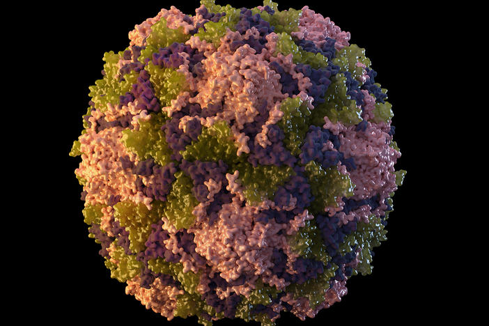 This 2014 illustration made available by the U.S. Centers for Disease Control and Prevention depicts a polio virus particle. On Thursday, July 21, 2022, New York health officials reported a polio case, the first in the U.S. in nearly a decade. (Sarah Poser, Meredith Boyter Newlove/CDC via AP)