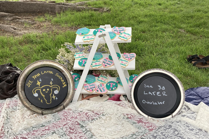 Dani Marietti's "sterilization shower" in Helena, Montana, features cookies with abortion-rights slogans, such as "My Body, My Choice," written on them in frosting.