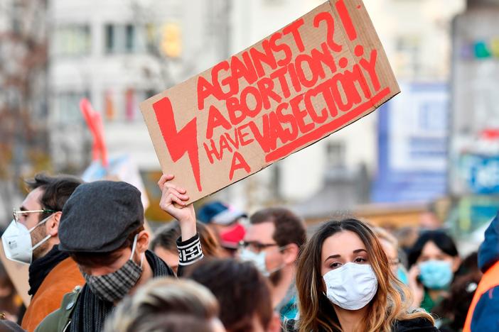 A demonstrator in Berlin in 2020 holds up a placard reading "Against Abortion?! Have a Vasectomy" during a protest against Poland's near-total ban on abortion.