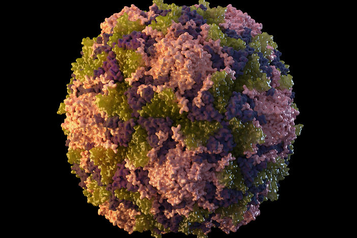 This 2014 illustration made available by the U.S. Centers for Disease Control and Prevention depicts a polio virus particle.