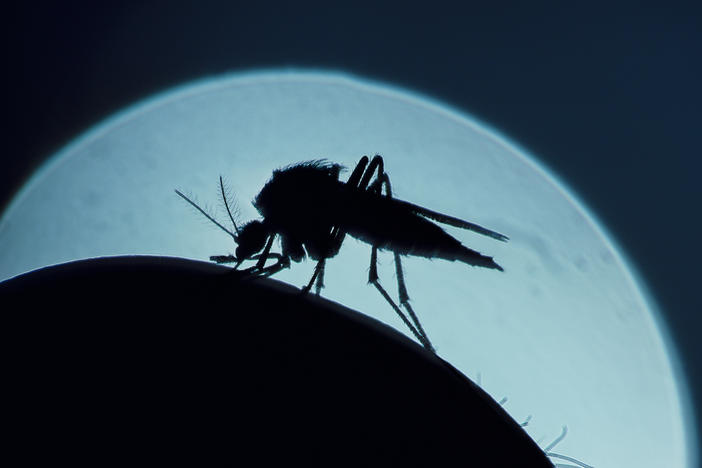 How do mosquitoes smell us out? And how can we stop them? A new study offers a surprising answer to the first question — and hope for better preventive strategies as a result.