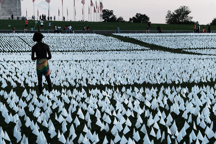 <em></em>Flags at the Washington Monument commemorate Americans who died from  COVID-19. In 2021, life expectancy in the U.S. fell for the second year in a row.
