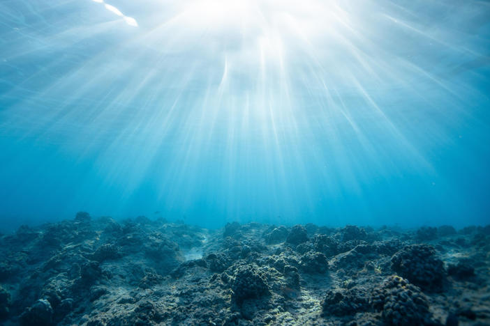 Could the ocean contain alien technology? Astronomer Avi Loeb thinks there is a chance.