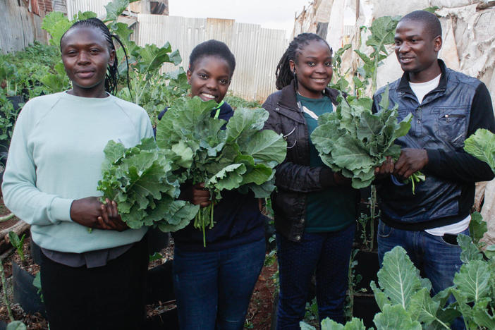 Urban farmer Victor Edalia (right) with three beneficiaries of his free veggies in 2020 (left to right): Sheila Musimbi, a single mom; Celine Oinga, who comes from a family of 9 siblings; and Jackline Oyamo, jobless due to the pandemic. He's expanded his garden — and giveaways — since then.
