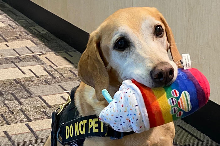 Eebbers, an 11-year-old explosive detection canine, has retired after nearly a decade of service.