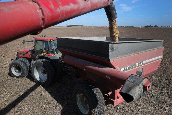 Soybeans pour from a combine during harvest in a field in Rippey, Iowa, in 2019.