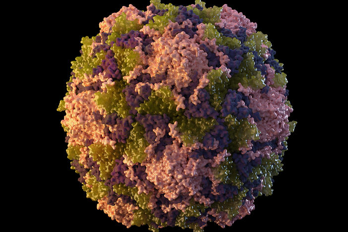 FILE - This 2014 illustration made available by the U.S. Centers for Disease Control and Prevention depicts a polio virus particle. The polio virus has been found in New York City's wastewater in another sign that the disease, which hadn't been seen in the U.S. in a decade, is quietly spreading among unvaccinated people, health officials said Friday, Aug. 12, 2022.