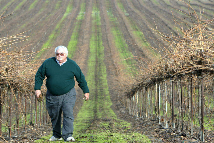 Fred Franzia, the man behind Charles Shaw brand wine, also affectionately known as "Two Buck Chuck," brought affordable wine to the masses.