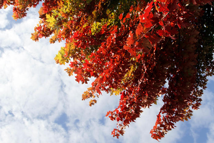 Today is the fall equinox and first day of Autumn, when the sun rises directly in the east and sets directly in the west.