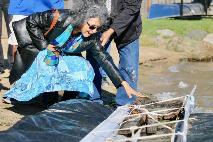 A woman from the Ho-Chunk Nation smiles as she touches the canoe. Wisconsin Historical Society maritime archaeologists recovered a 3,000-year-old dugout canoe from Lake Mendota in Madison, Wis., on Thursday.