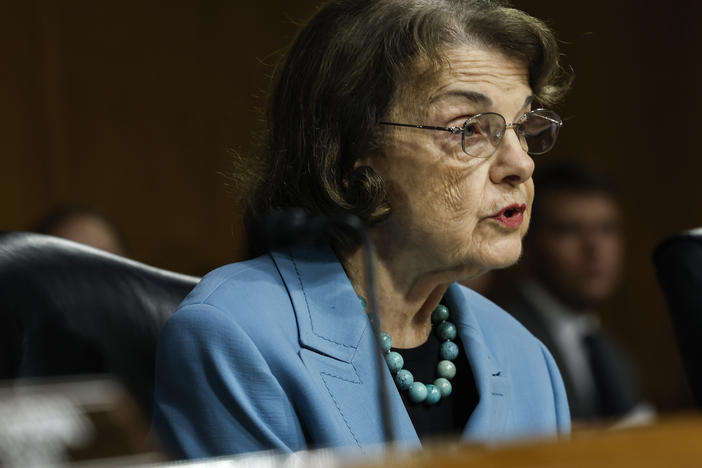 Sen. Dianne Feinstein, D-Calif., speaks during a hearing of the Senate Judiciary Committee in July 2022.