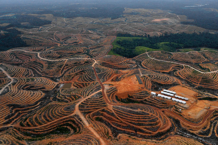 This photograph, taken on February 24, 2014 during an aerial survey mission by Greenpeace in Indonesia, shows cleared trees in a forest located in the concession of Karya Makmur Abadi, which was being developed for a palm oil plantation. Environmental group Greenpeace on February 26 accused US consumer goods giant Procter & Gamble of aiding the destruction of Indonesian rainforests.