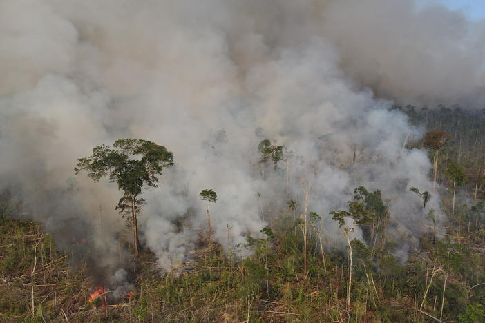 A large fire in a recently deforested area of the Amazon rainforest along Highway BR-319 in the state of Amazonas, Brazil, on Sept. 25.