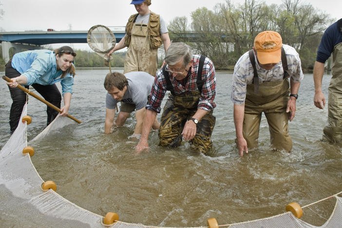 Retired professor Dr. David Etnier (center) and a group of scientists check the state of the snail darter in the Holston River north of Knoxville, Tenn., on April 9, 2008. The U.S. Department of the Interior announced on Tuesday its official removal from the Federal List of Threatened and Endangered Wildlife.