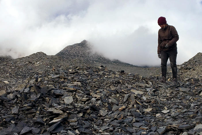 Walking through the shale quarry in Delta, Utah, in 2017.