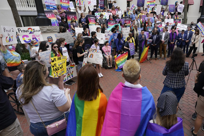 Demonstrators gather on the steps of the Florida Historic Capitol Museum in front of the Florida State Capitol in March in Tallahassee, Fla, protesting what opponents call the "Don't Say Gay" bill.