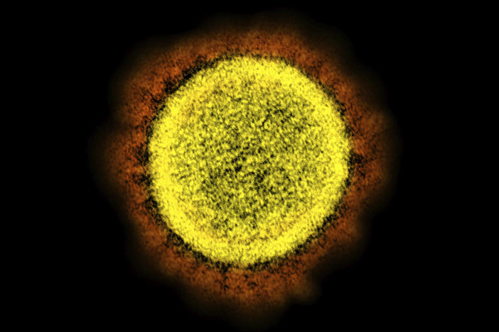 An electron microscope image shows a SARS-CoV-2 particle isolated in the early days of the pandemic. It's been nearly a year since omicron was first detected, and scientists say this branch of the coronavirus family tree is still thriving.
