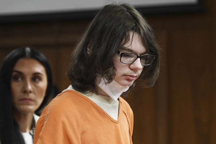 Ethan Crumbley answers yes to charges against him from assistant prosecutor during his pre-trial hearing at Oakland County Courthouse on Monday in Pontiac, Mich. Crumbley entered the guilty plea to 24 criminal charges including terrorism causing death and first-degree murder for the Oxford High School shooting.