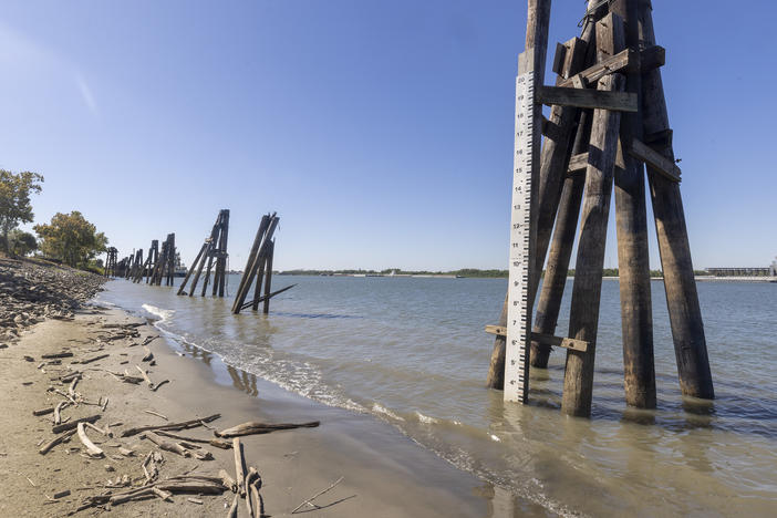 A river gauge marks near record low water levels on the Mississippi River at New Orleans. It's many feet lower than it typically would be and it's creating all sorts of problems.