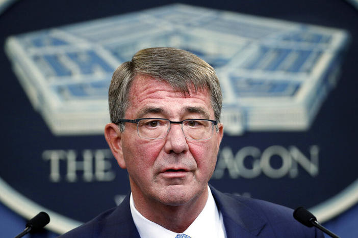 Defense Secretary Ash Carter speaks during a news conference in June 2016 at the Pentagon.