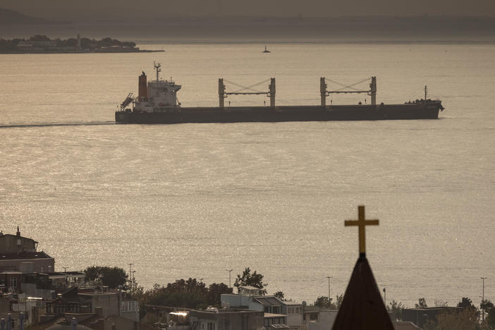 A ship passes through the Bosphorus strait on October 14, 2022 in Istanbul, Turkey.