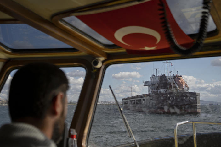 A boat operator ferries inspectors to the Tzarevich ship, which is carrying 10,000 metric tons of sunflower meal from Chornomorsk, Ukraine, to Bulgaria, on Oct. 6 in Istanbul. The ship stopped en route in the Marmara Sea in order to be checked by officials from the United Nations, Ukraine, Russia and Turkey.