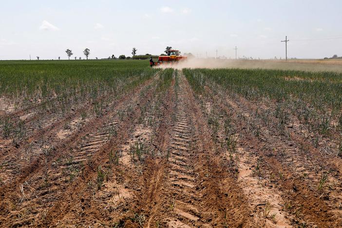A view of soybeans being planted on a farm in Balfour, South Africa on Oct. 20, 2021. Regenerative agriculture is a loosely defined term, but generally involves promoting on-farm soil health and carbon sequestration through practices like cover cropping and no-tilling.