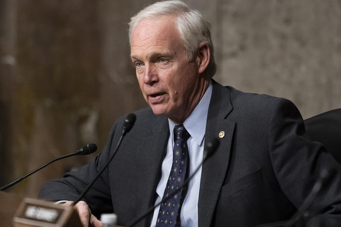 Sen. Ron Johnson, R-Wis., speaks during a Senate Foreign Relations Committee hearing last year.