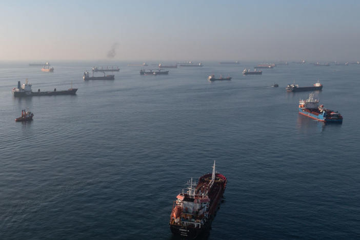 Ships, including those carrying grain from Ukraine and awaiting inspections, are seen anchored off the Istanbul coastline on Wednesday in Istanbul, Turkey.