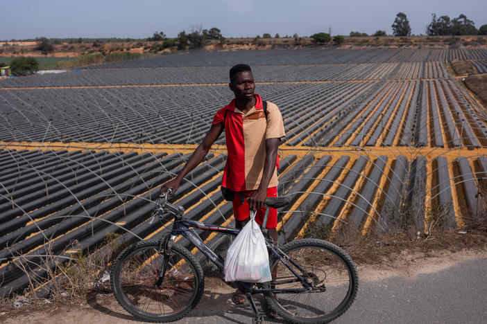 Mamadou Diop, 52, stands in front of the strawberry farms where he does seasonal work in Palos de la Frontera, Spain on October 16. Born in Senegal, Diop speaks more than five languages. He lives in makeshift housing near the farms, and he sends money back to his wife and children in Joal Fadiouth, Senegal.